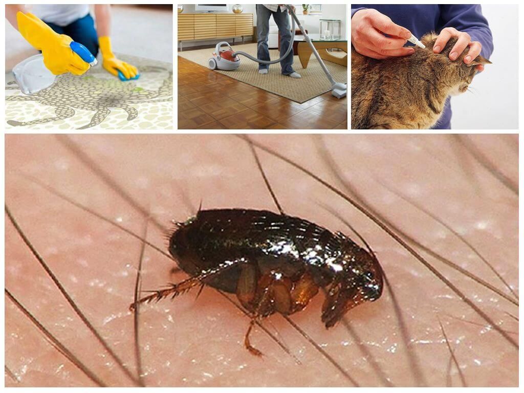 Методи боротьби з комахами