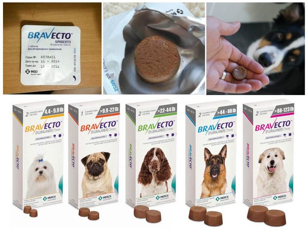 Протипаразитарні таблетки для собак Бравекто