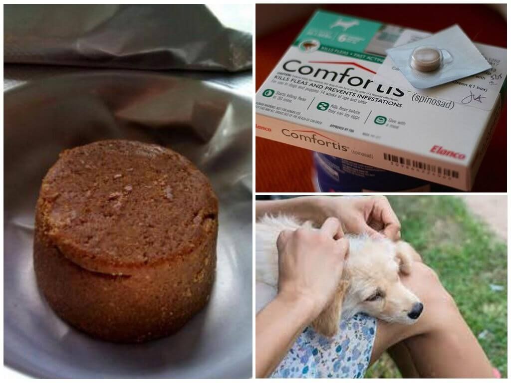 Таблетки для собак від бліх та кліщів