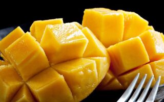 Де і як зберігати манго в домашніх умовах: в холодильнику або теплі, щоб дозріло, очищений, розрізаний