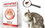Краплі Чистотіл для кішок від бліх і кліщів – інструкція із застосування, відгуки