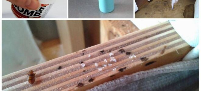 Димові шашки від клопів – відгуки, інструкція із застосування, ціна