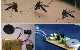 Ультразвуковий відлякувач комарів своїми руками, схема і опис