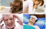 Які хвороби переносять миші