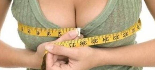 Які груди вважається великий