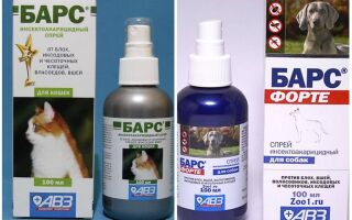 Спрей Барс від бліх для котів і собак – інструкція із застосування, відгуки