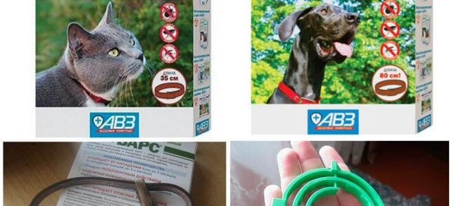 Нашийник Барс для кішок і собак – відгуки та інструкція із застосування