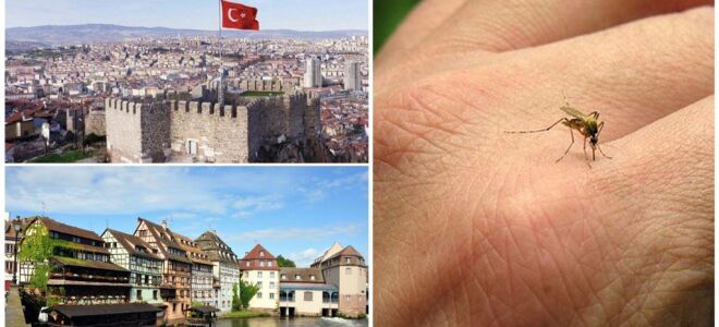 Де немає комарів в світі