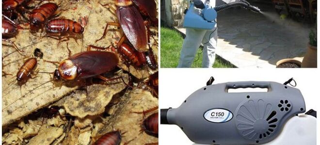 Знищення тарганів туманом: відгуки, опис та поради