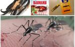 Ванілін від комарів: рецепти для дітей і дорослих