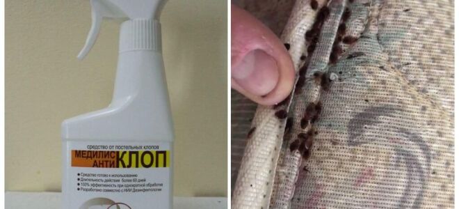 Меділіс від клопів: Антіклоп, Ціпер, Супер – відгуки, інструкція із застосування, ціна