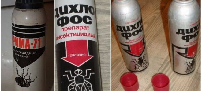 Дихлофос від тарганів – інструкція із застосування і відгуки