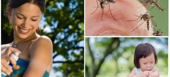 Кращі спреї від комарів