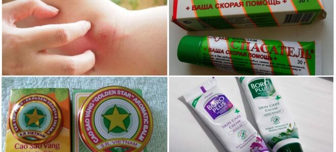 Чим лікувати, якщо дитина розчесав укус комара і заніс інфекцію