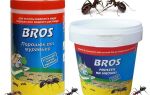 Порошок Bros від мурах – відгуки та інструкція із застосування