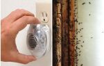 Огляд ультразвукових відлякувачів мурах – відгуки та принцип роботи