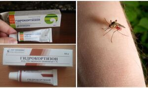 Мазь гідрокортизону від укусів комарів для дитини і дорослого
