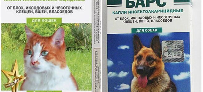 Краплі Барс від бліх і кліщів для кішок і собак – інструкція із застосування, відгуки