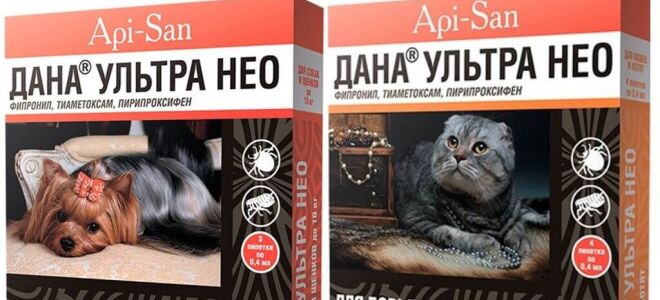Дана Ультра Нео краплі на холку для кішок і кошенят, собак – інструкція із застосування, відгуки