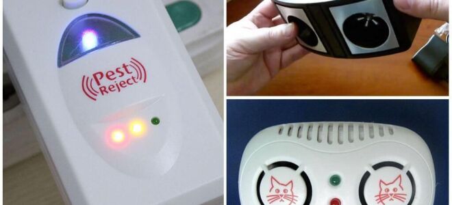 Який краще відлякувач мишей і щурів