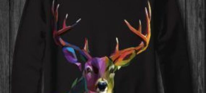 чоловічі світшоти