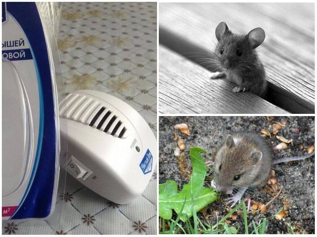Ультразвуковий відлякувач від щурів і мишей Чистий дім