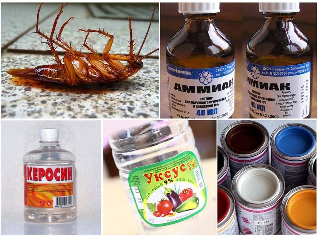 Хімічні засоби проти комах