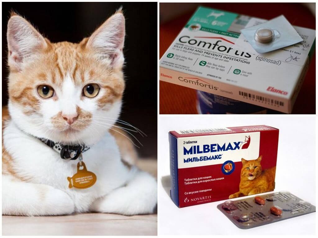Таблетки для кішок для боротьби з ектопаразитами