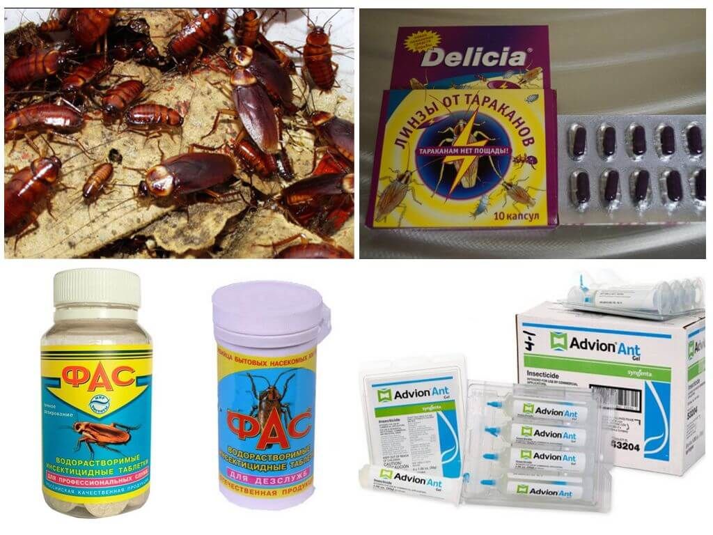 Таблетки проти комах-шкідників