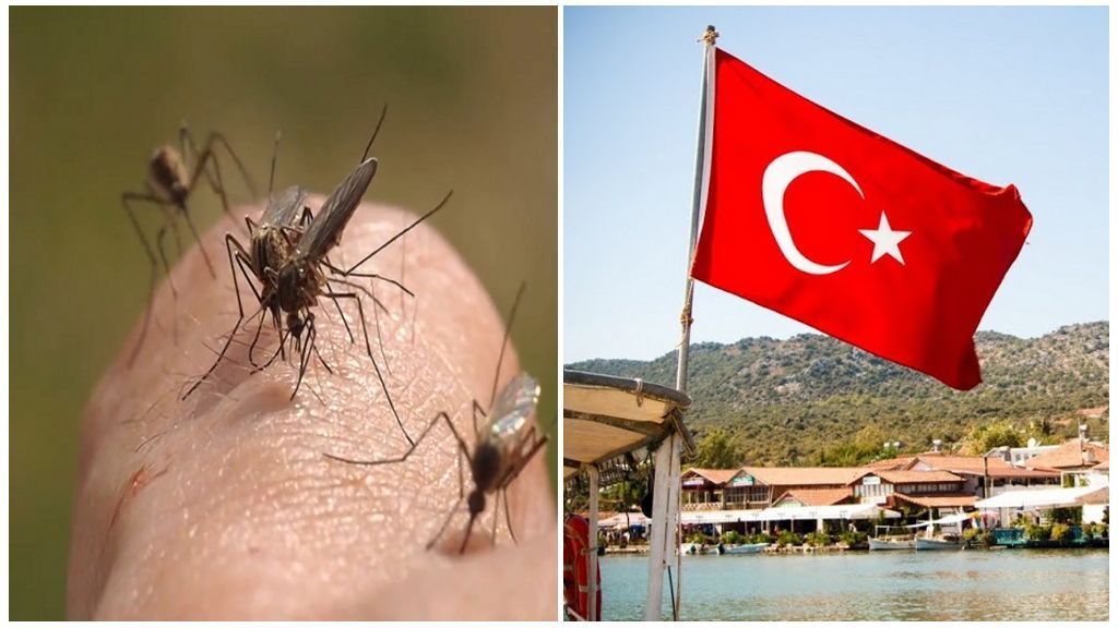 Комарі в Туреччині
