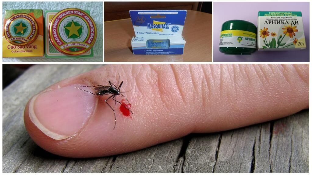Гомеопатичні препарати при укусах комарів