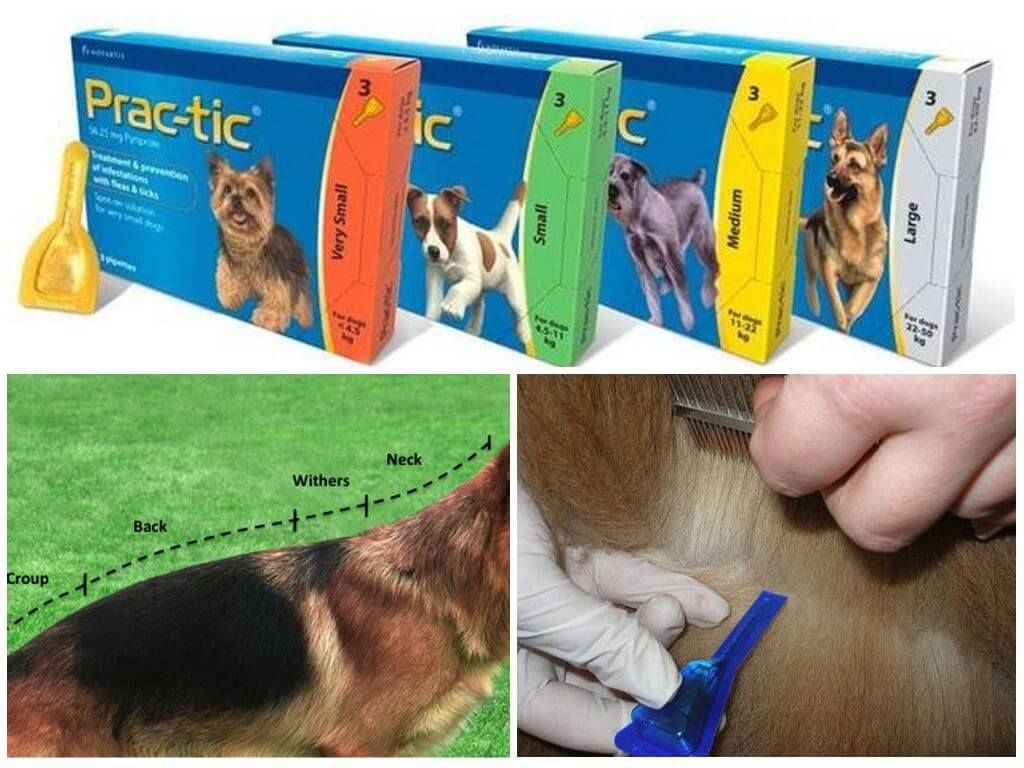 Краплі Практик для обробки собак
