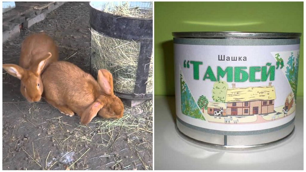 Шашка Тамбей для захисту кроликів від комарів